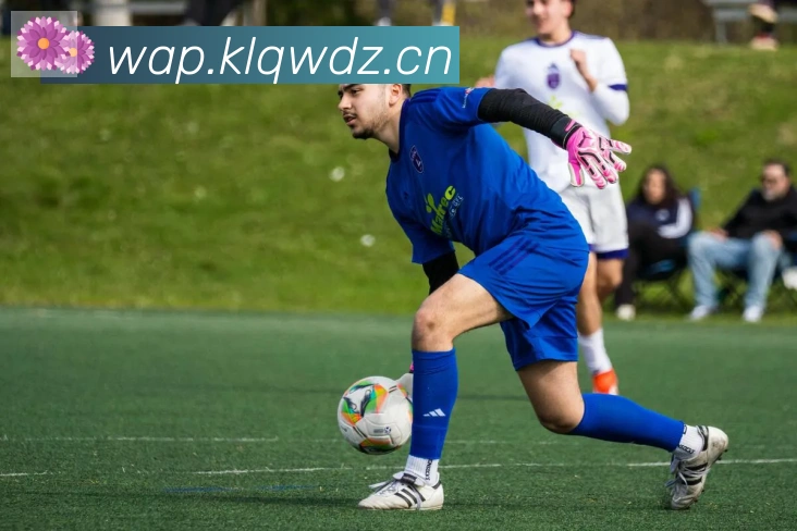 开云体育登录APP 体育赛事宣传图