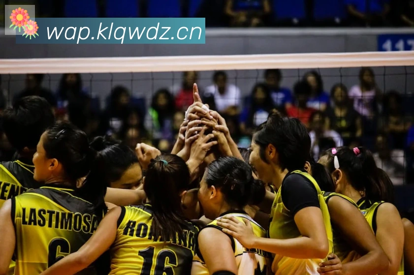 开云体育登录荣誉