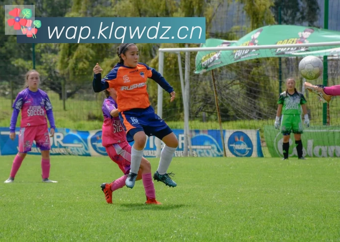 开云体育登录荣誉