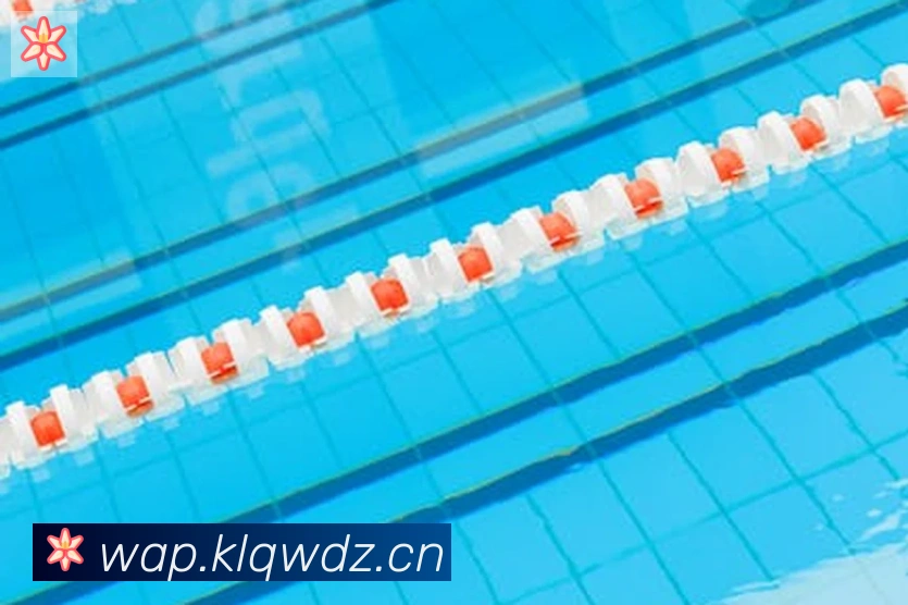 开云体育登录荣誉