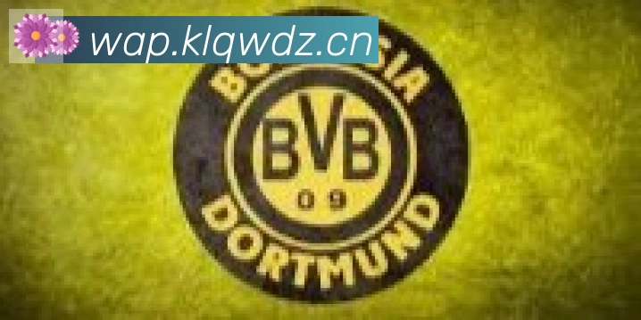 开云体育登录合作伙伴