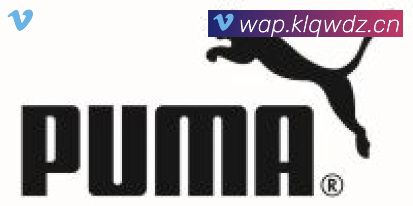 开云体育登录合作伙伴